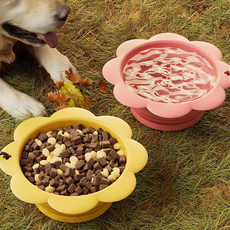 Outdoor Pet Feeding Cup 2-in-1 - Foldable Backpack Small 리뷰 및 가격