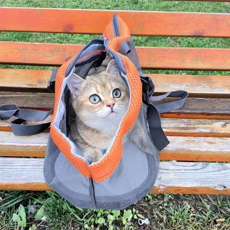 Pet Portable Shoulder Backpack - Foldable Backpack Small 리뷰 및 가격