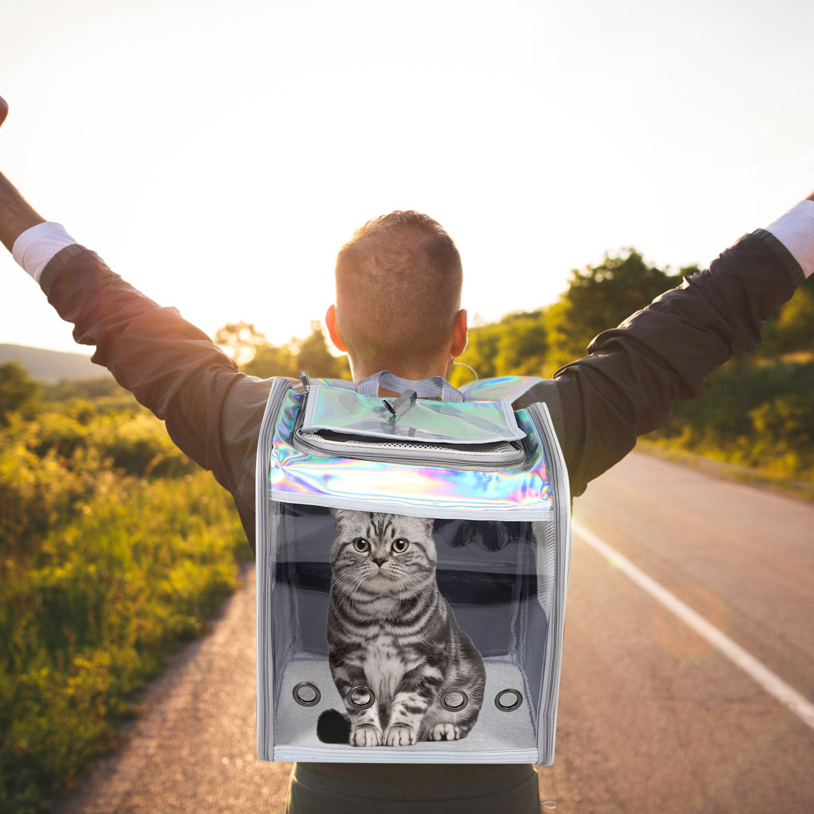 Breathable Mesh Pet Backpack C - Foldable Backpack Small 리뷰 및 가격